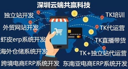 無貨源店群定制開發(fā)